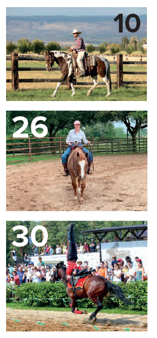 western-horse-uk-october-2020